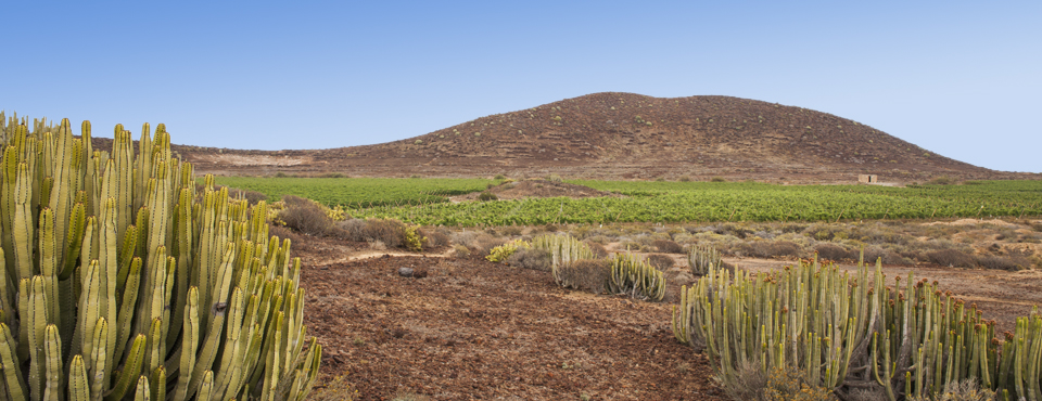 Malpaís de Rasca