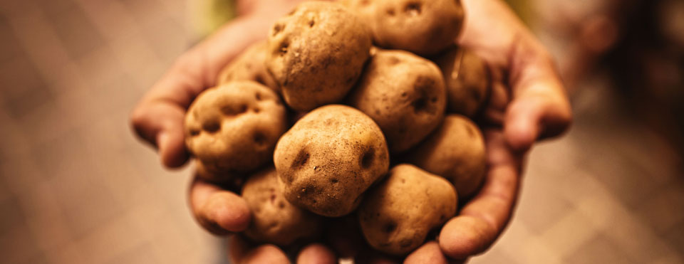 Papas